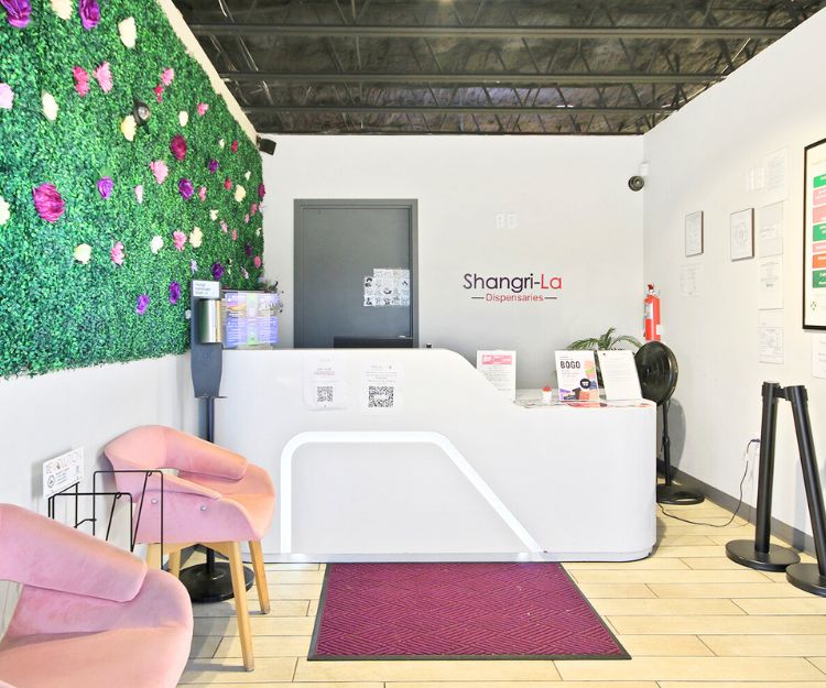 Modern cannabis dispensary interior featuring a stylish reception desk, pink seating, and a vibrant green wall adorned with flowers. The space includes promotional materials and a welcoming atmosphere for customers.